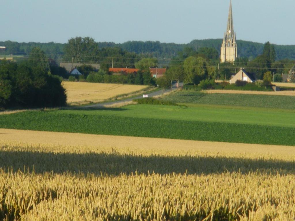 Saint-Sylvestre-Cappel La Vallee Des Trois Monts المظهر الخارجي الصورة