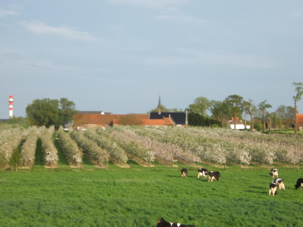 Saint-Sylvestre-Cappel La Vallee Des Trois Monts المظهر الخارجي الصورة